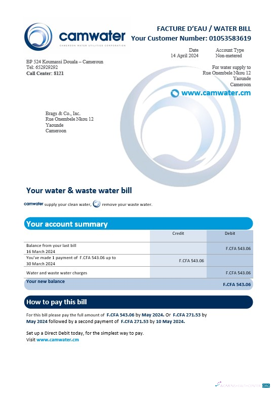 Download Cameroon Camwater business utility bill Word and PDF template (2).doc Photoshop template